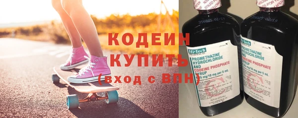 шишки Ессентукская